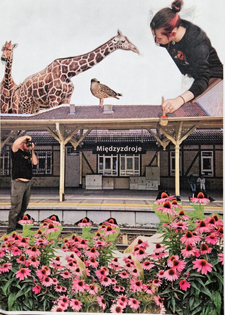 Warsztaty plastyczne dla początkujących 29 20240921 0950330